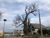 © EASYFOTO TASR – Maroš Černý