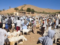 Eritrea
