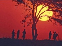 Západ slnka v kenskej divočine