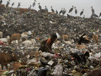 Žena hľada recyklovateľný odpad na predaj na smetisku v Svetový deň životného postredia v indickom Gauhátí.