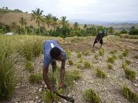 Haiti