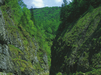 NP Vápencové Alpy NP Vápencové Alpy