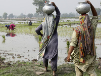 Pakistan