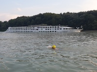 Plavkyne zaplávali 145 kilometrov Plavkyne zaplávali 145 kilometrov