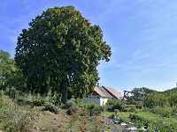 Mudrochov mlyn v Dechticiach