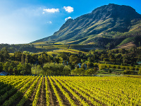 Cape Winelands, Juhoafrická republika