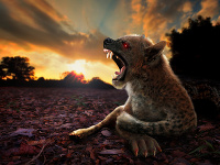 Chupacabra Chupacabra