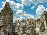 Hrad Šášov