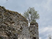 Hrad Muráň