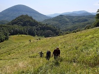 Na snímke vrchol Oblík (vľavo v pozadí), pod ním v strednom pláne vrch Herlica, kde je postavená vyhliadková veža, vpravo v pozadí je Šimonka 1 092 m n. m., najvyšší vrchol Slanských vrchov.