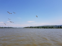 Sĺňava