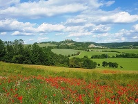 Hrad Branč