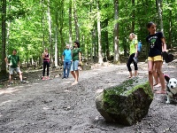 Nové prvky na hrade Nové prvky na hrade