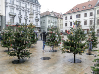 Vianočný les bude zdobiť Hlavné námestie v Bratislave od 4. do 20. decembra 2020. O výzdobu stromčekov sa postarali deti z 21 bratislavských materských, základných a umeleckých škôl a Centrum pre deti a rodiny. Originálne vianočné stromčeky neskôr poputujú do skutočných domovov.