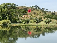 Dielo Dielo