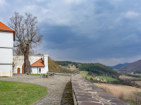 Na snímke lipa veľkolistá, tzv. Korvínova lipa, chránená prírodná pamiatka, na nádvorí Ľupčianskeho hradu. Slovenská Ľupča