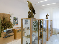 Tribečské múzeum