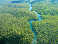 Amazonský prales Amazonský prales