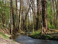 Mestský park v Lučenci