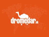 Svoj k svojmu. Delfíny vystrájajú v miestnom bazéne ako malé deti.