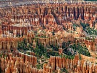 Kaňon Bryce, USA