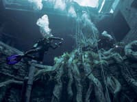 Deep Dive Dubai - najhlbší bazén sveta
