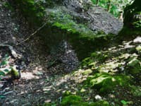 Rákošský hrad