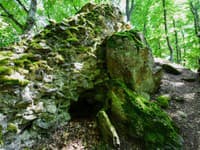 Rákošský hrad