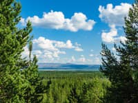 Jakobselva Jakobselva