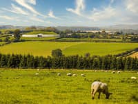 Newgrange