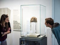 Najslávnejšou európskou múmiou je Ötzi