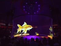 Hologram zvierat v cirkuse Roncalli