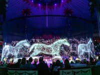 Hologram zvierat v cirkuse Roncalli