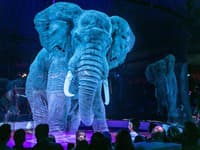 Hologram zvierat v cirkuse Roncalli