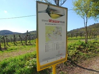 Dni otvorených viníc, Viedeň,