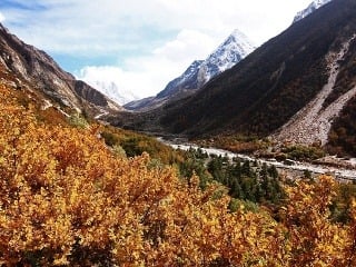 Údolie Gangy, India