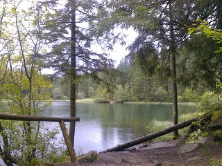 Vrbické pleso, Nízske Tatry