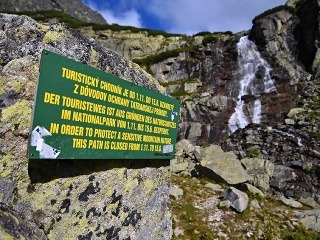 Vysokohorské chodníky vo Vysokých