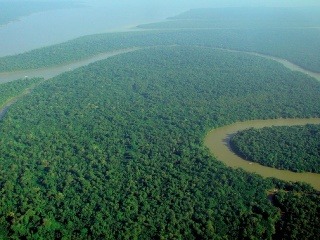 Amazonský prales, Brazília