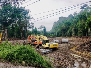 Borneo