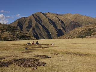 Peru dalo svetu zemiaky,