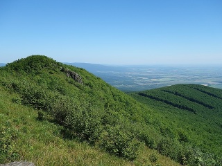 Vihorlat
