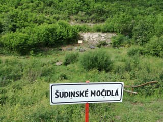 Močidlá, v ktorých sa