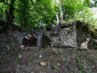 Rákošský hrad