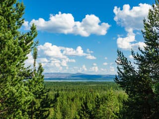 Jakobselva