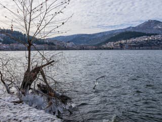 Kastoria
