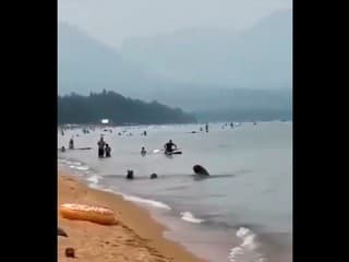 VIDEO, aké ste ešte