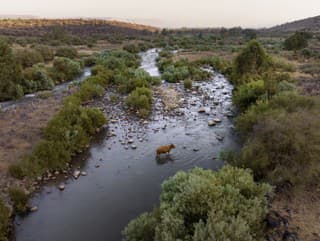 Rieka Jordán 