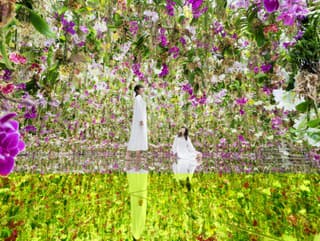 Magický svet múzea teamLab