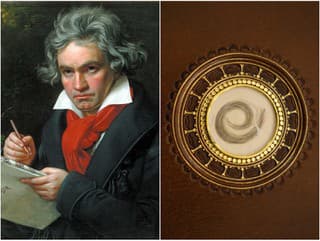 DNA analýza Beethovenových vlasov
